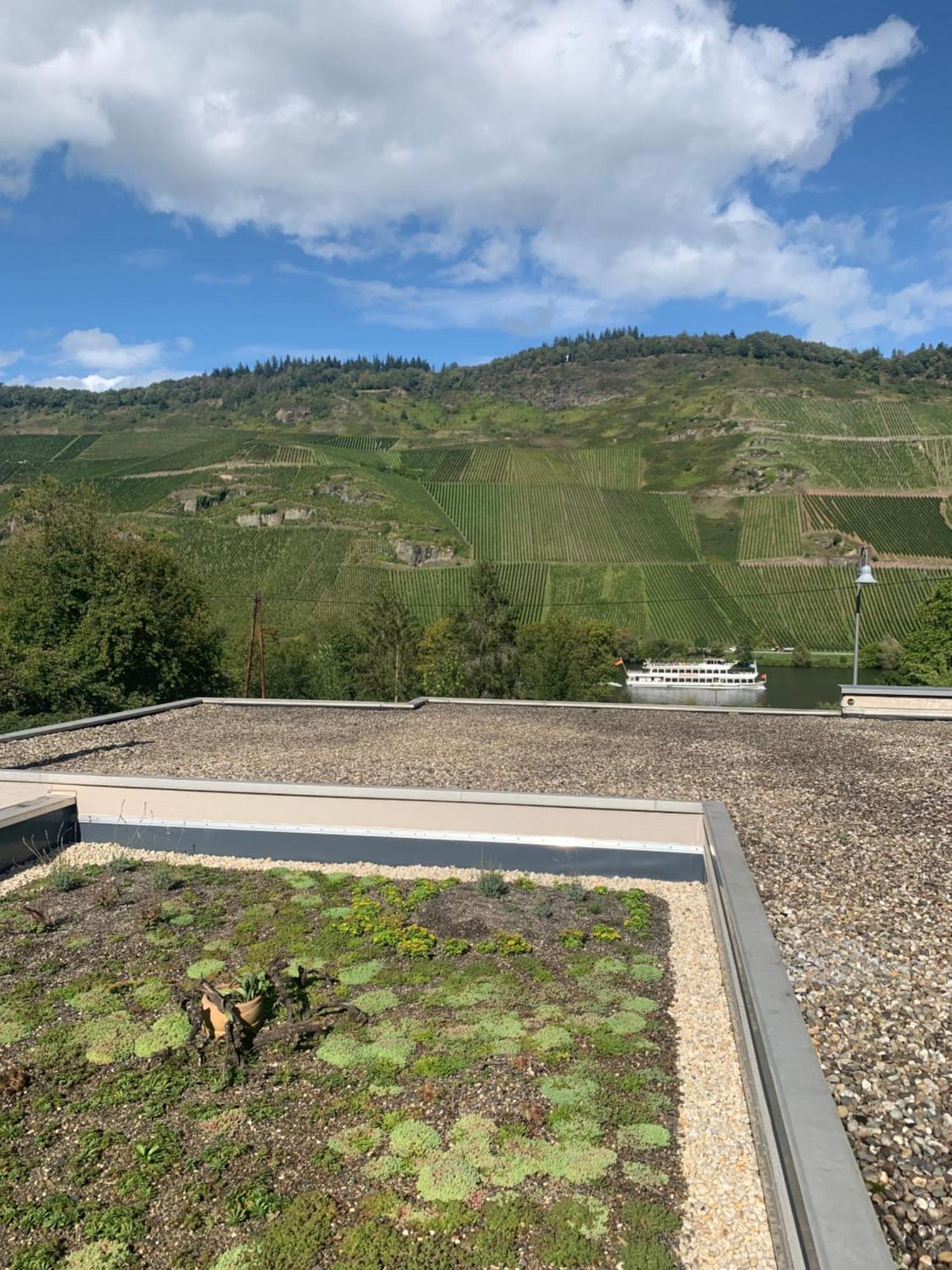 Apartmán Weinrebe Bernkastel-Kues Exteriér fotografie