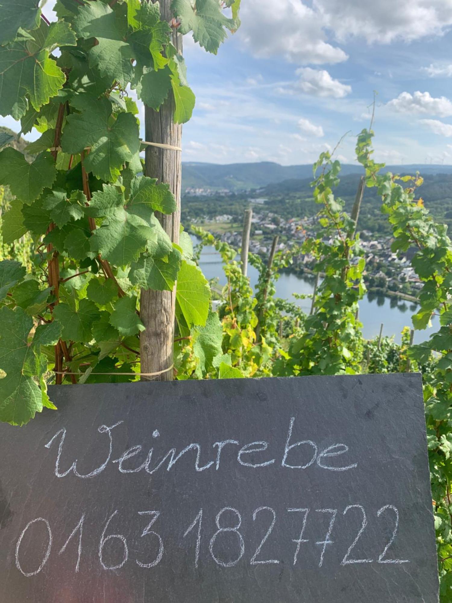 Apartmán Weinrebe Bernkastel-Kues Exteriér fotografie